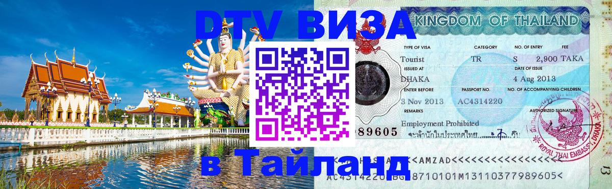 Сколько стоит DTV виза — актуальные цены, оформление даже без документов - Дамаск 